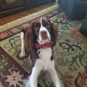 Meet your Posher, Jeff